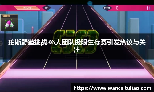 珀斯野猫挑战36人团队极限生存赛引发热议与关注